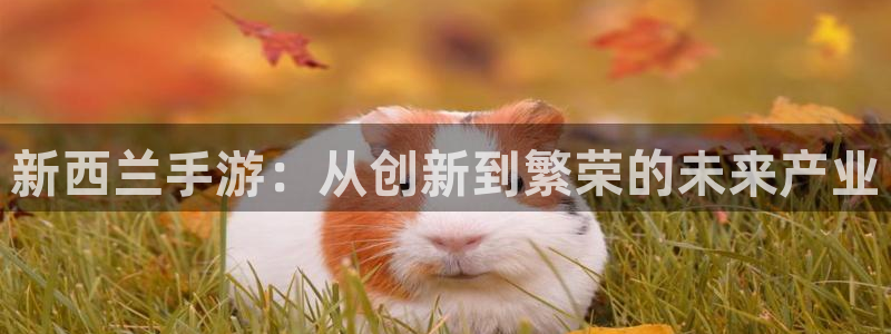 V8娱乐官网：新西兰手游：从创新到繁荣的未来产业