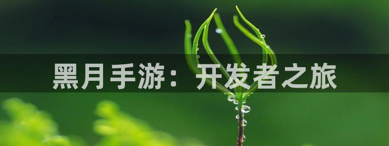 V8娱乐登录：黑月手游：开发者之旅
