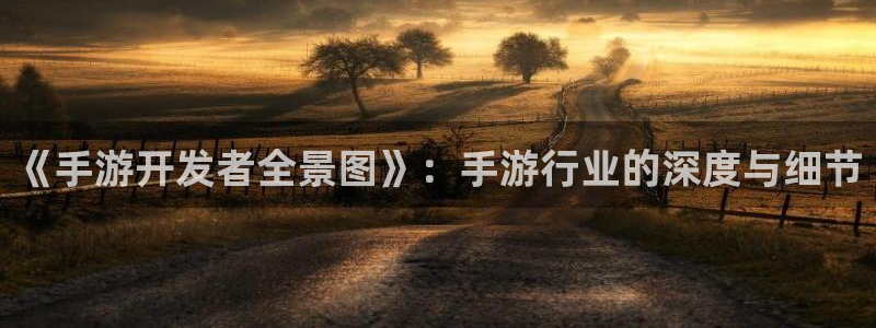 V8娱乐登录：《手游开发者全景图》：手游行业的深度与细节
