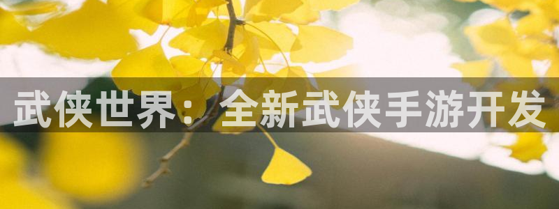 V8娱乐平台：武侠世界：全新武侠手游开发
