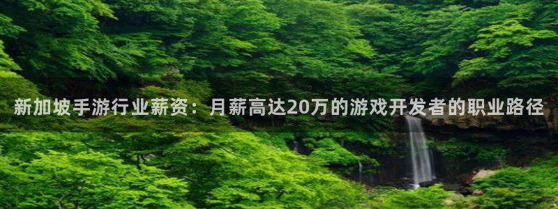 V8娱乐平台：新加坡手游行业薪资：月薪高达20万的游戏开发者