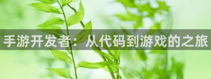 V8娱乐注册：手游开发者：从代码到游戏的之旅