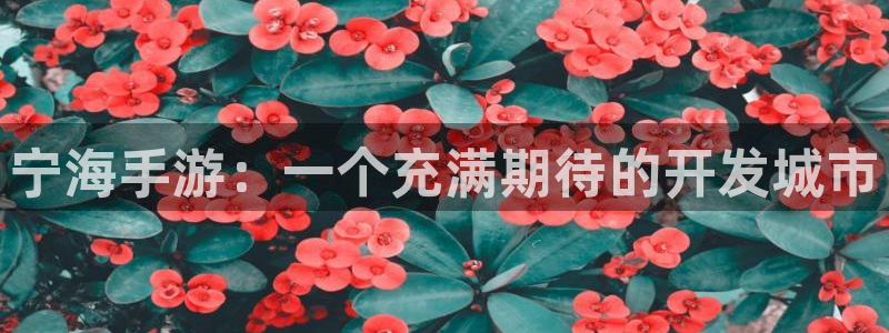 V8娱乐平台：宁海手游：一个充满期待的开发城市