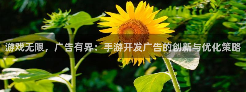 V8娱乐:游戏无限,广告有界:手游开发广告的创新与优化策略