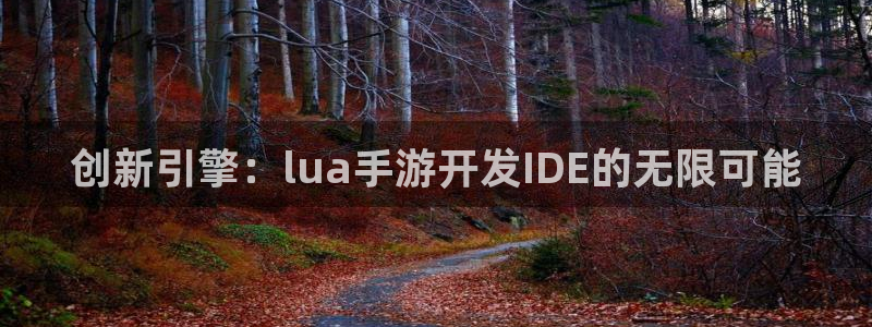 V8娱乐官网:创新引擎:lua手游开发IDE的无限可能