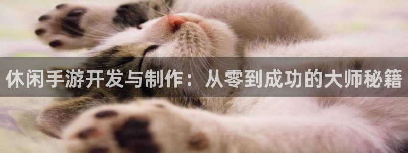 V8娱乐网：休闲手游开发与制作：从零到成功的大师秘籍