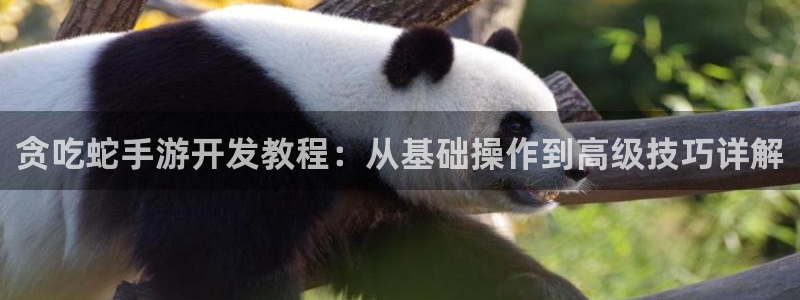 V8娱乐官网：贪吃蛇手游开发教程：从基础操作到高级技巧详解