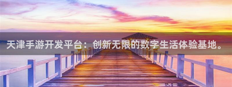V8娱乐登录：天津手游开发平台：创新无限的数字生活体验基地。
