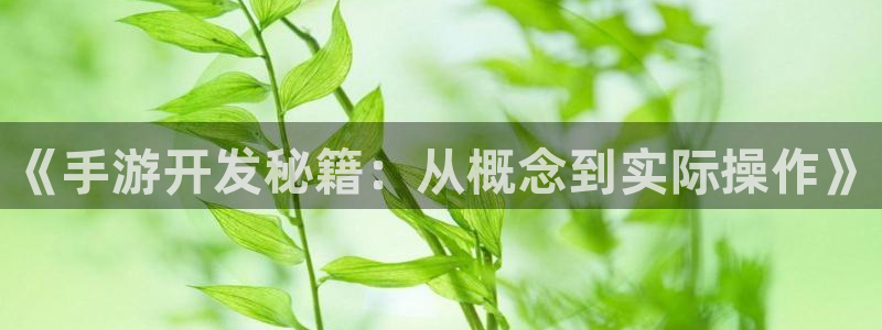 V8娱乐平台：《手游开发秘籍：从概念到实际操作》