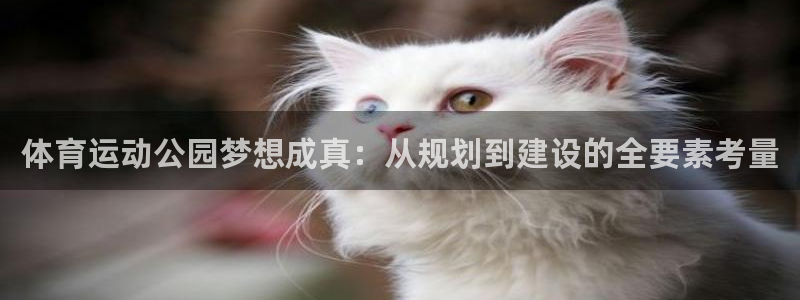 678体育官网