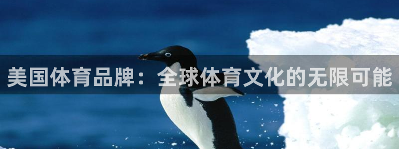 678体育app