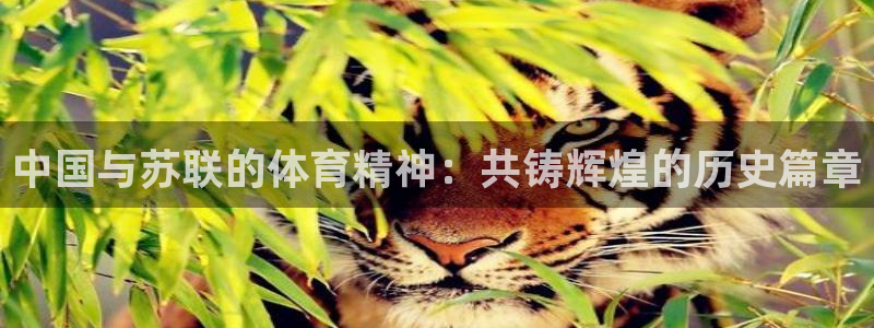 皇冠678体育：中国与苏联的体育精神：共铸辉煌的历史篇章